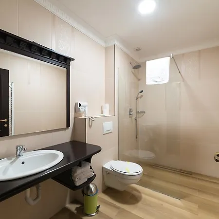 Maison d'hôtes Steaua Nordului