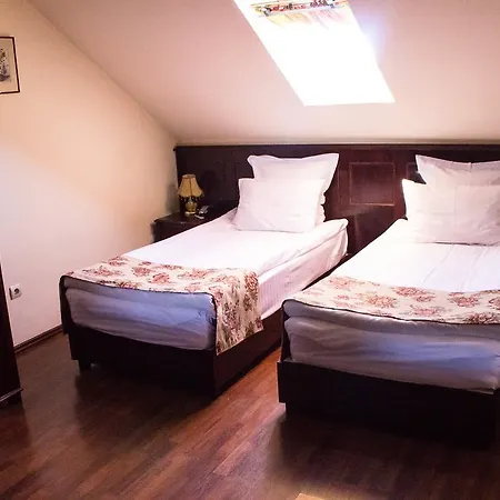 Guest house Steaua Nordului Alba Iulia