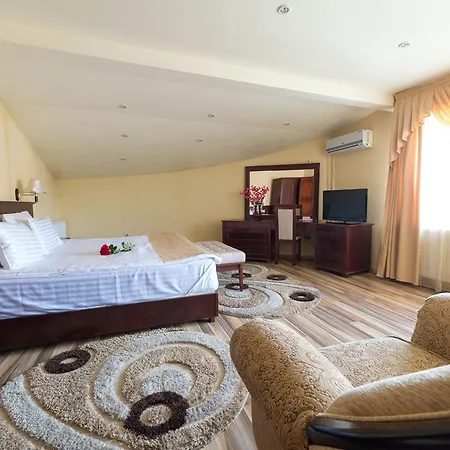 Guest house Steaua Nordului Alba Iulia